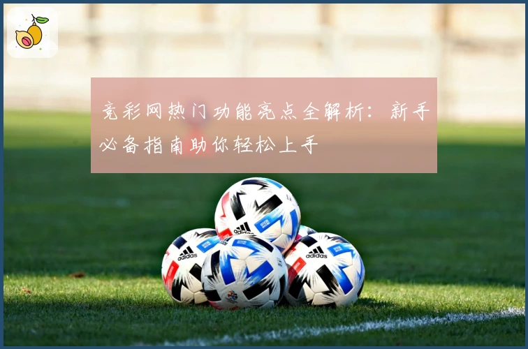 竞彩网热门功能亮点全解析:新手必备指南助你轻松上手