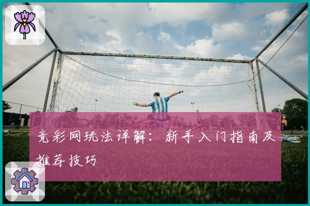 竞彩网玩法详解：新手入门指南及推荐技巧