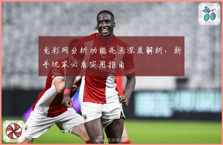 竞彩网分析功能亮点深度解析,新手玩家必看实用指南