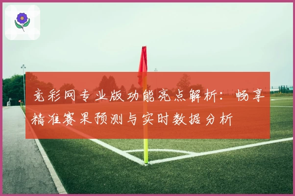 竞彩网专业版功能亮点解析：畅享精准赛果预测与实时数据分析