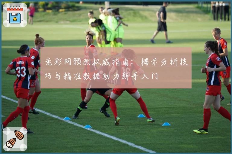 竞彩网预测权威指南：揭示分析技巧与精准数据助力新手入门